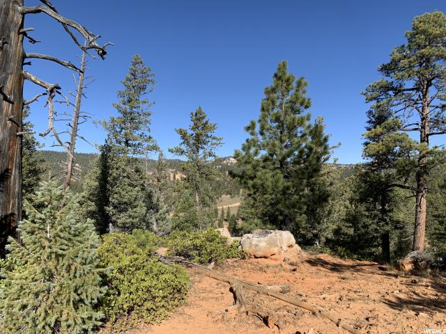 2750 N 1054 E, Hatch, UT 84735 — photo 11
