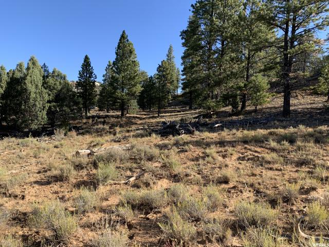 2750 N 1054 E, Hatch, UT 84735 — photo 4