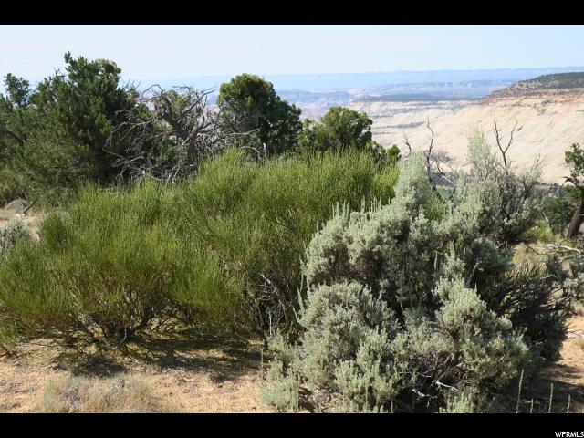 1882 E Juniper Branch Dr E #22, Boulder, UT 84716 — photo 4