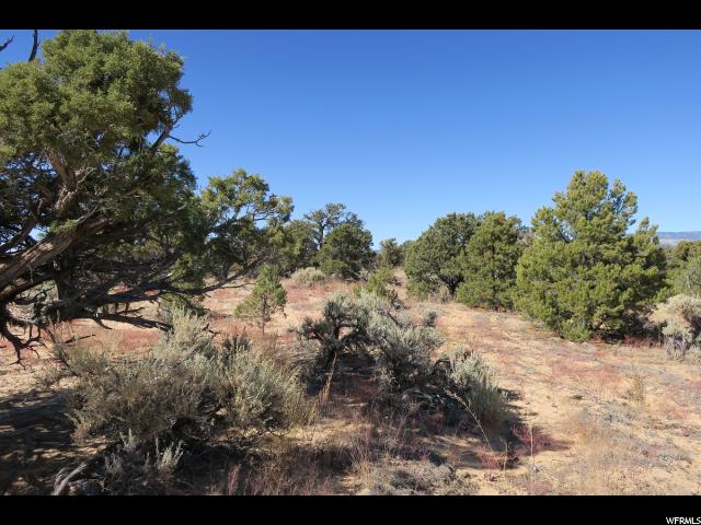 1882 E Juniper Branch Dr E #22, Boulder, UT 84716 — photo 9
