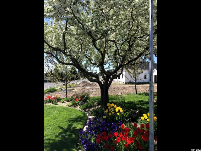 276 E Elberta Dr, North Ogden, UT 84414 — photo 11