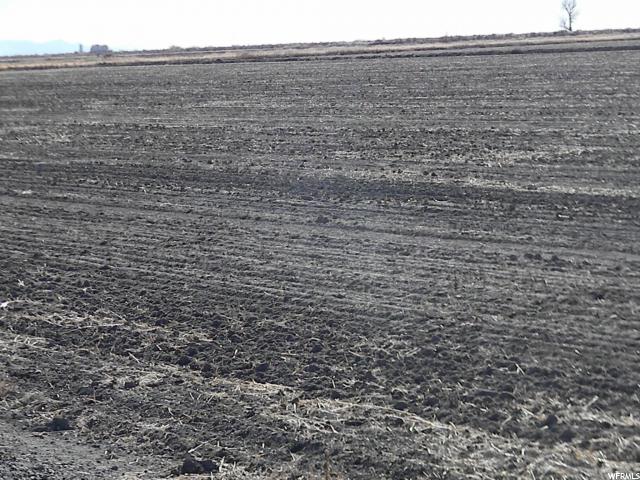 8500 N 5000 W, Delta, UT 84624 — photo 6