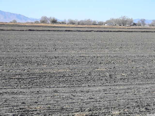 8500 N 5000 W, Delta, UT 84624 — photo 5
