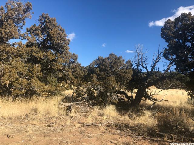 #817, Fruitland, UT 84027 — photo 7