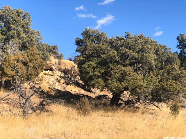 #817, Fruitland, UT 84027 — photo 3