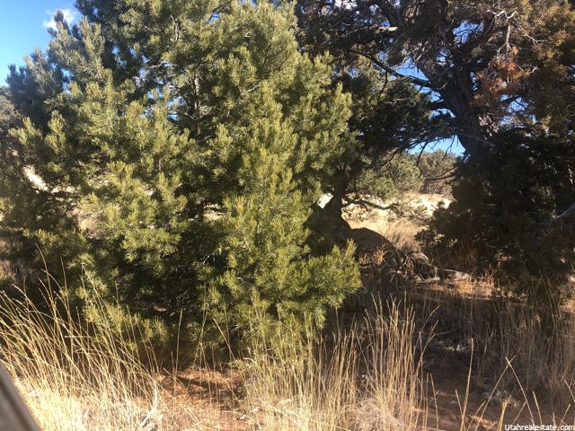 #817, Fruitland, UT 84027 — photo 8
