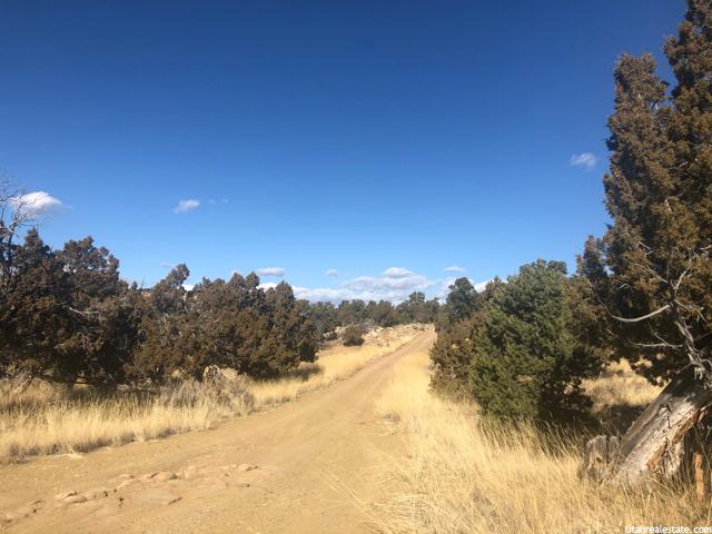 #817, Fruitland, UT 84027 — photo 6