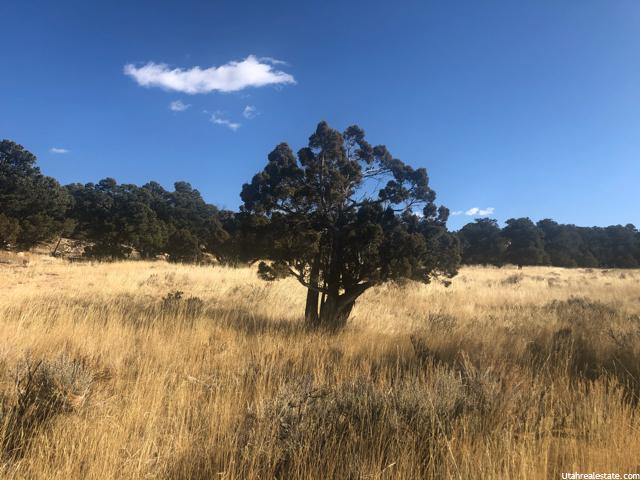 #817, Fruitland, UT 84027 — photo 5