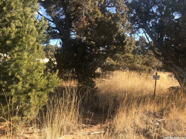 #817, Fruitland, UT 84027 — photo 9