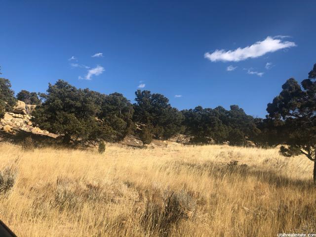 #817, Fruitland, UT 84027 — photo 4