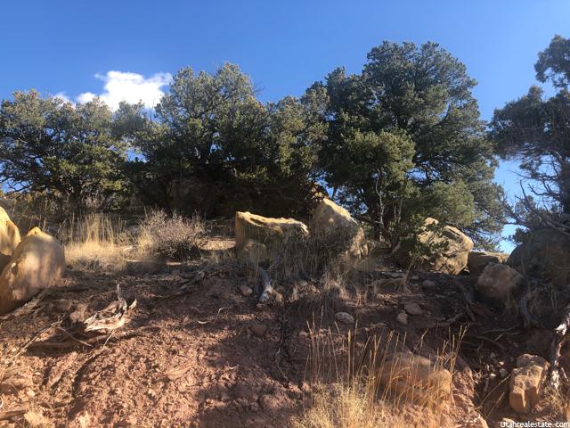 #817, Fruitland, UT 84027 — photo 11