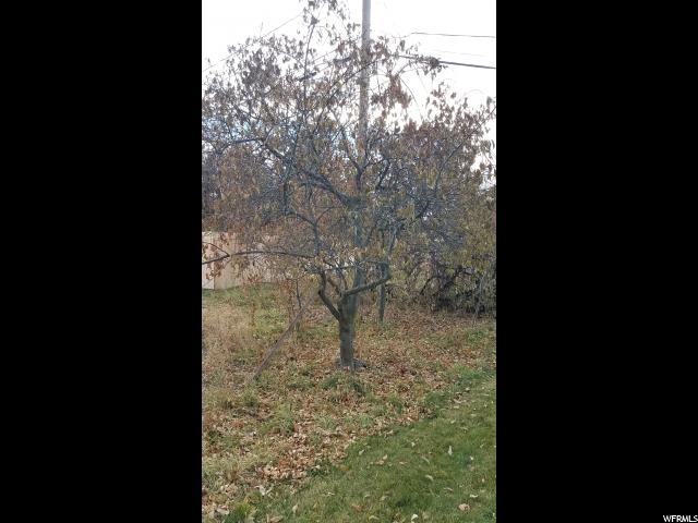 Logan, UT 84321 — photo 6