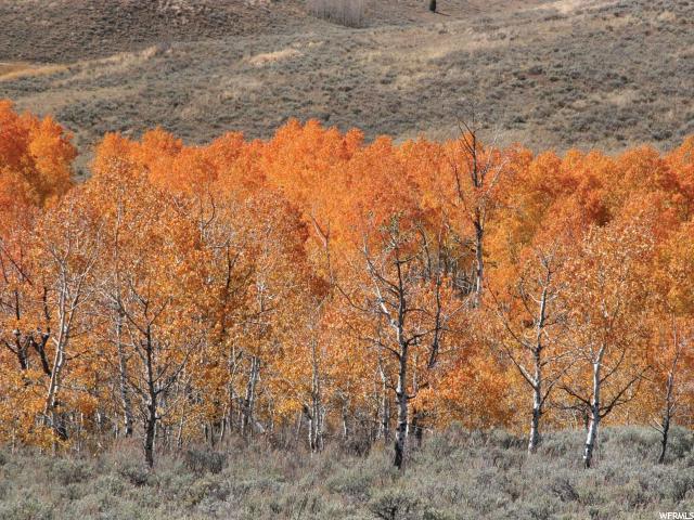 71 Ant Flat Rd, Hyrum, UT 84319 — photo 7