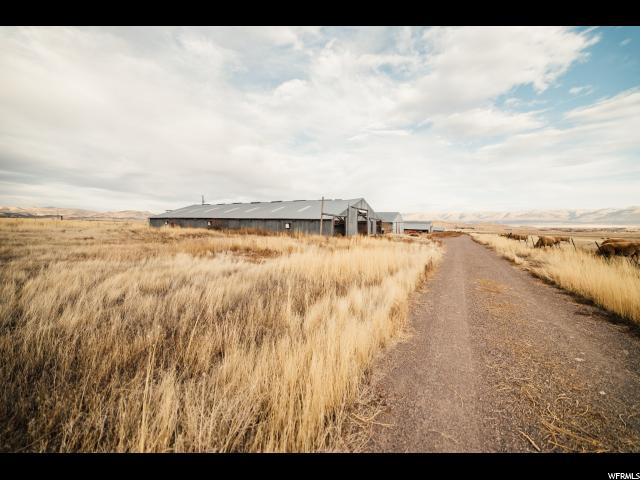Moroni, UT 84646 — photo 5