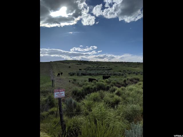 Arimo, ID 83214 — photo 4
