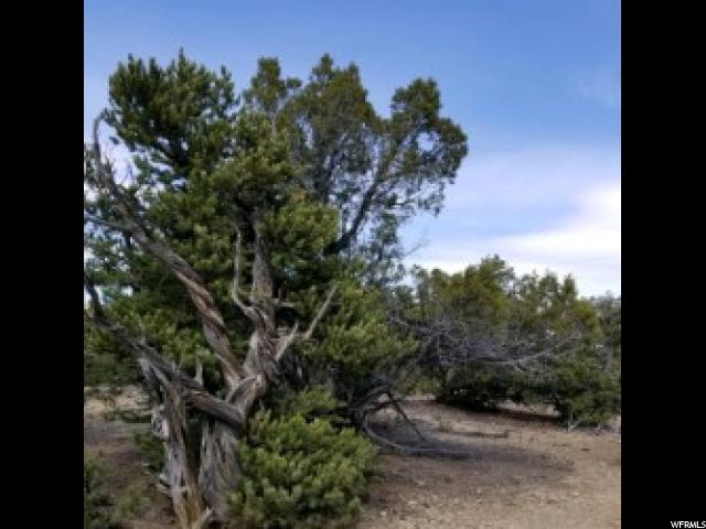 #14, Fruitland, UT 84027 — photo 4