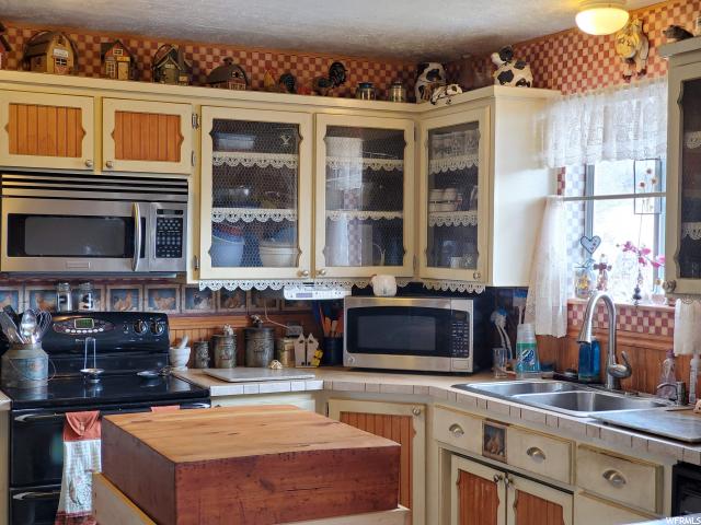 1492 E Cemetery Ln, Mona, UT 84645 — photo 4