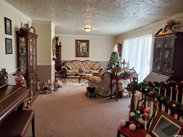 1492 E Cemetery Ln, Mona, UT 84645 — photo 2