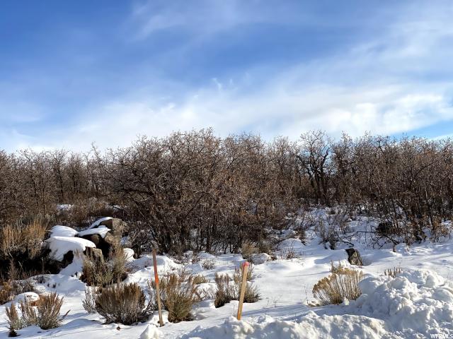 11503 N Soaring Hawk Ln, Hideout, UT 84036 — photo 3
