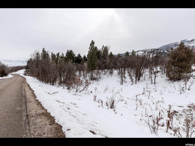 2255 E 5950 N #2, Eden, UT 84310 — photo 6