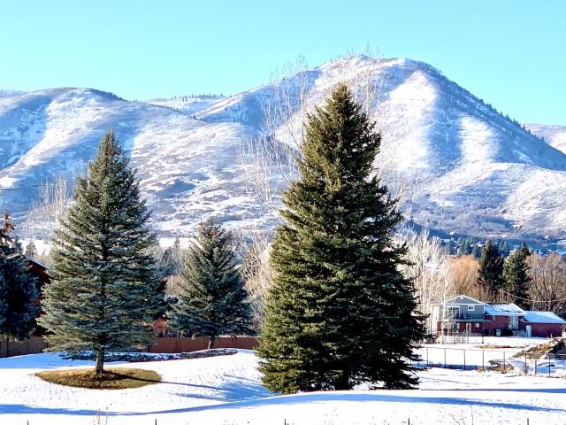 545 N Meriwether Way, Midway, UT 84049 — photo 7