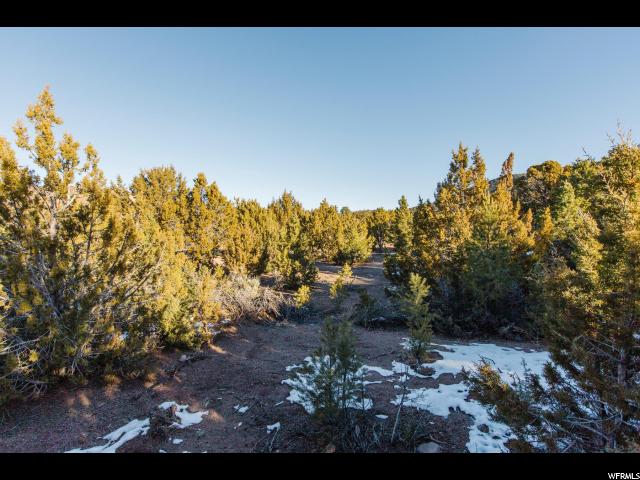 E Hunter Ln #11, Central, UT 84722 — photo 2