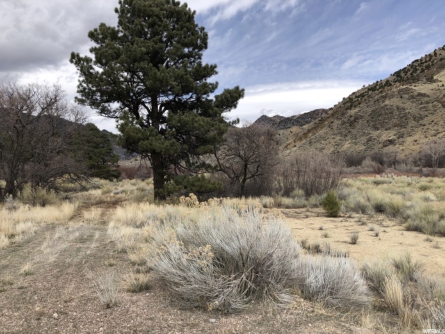 #1, Marysvale, UT 84750 — photo 9