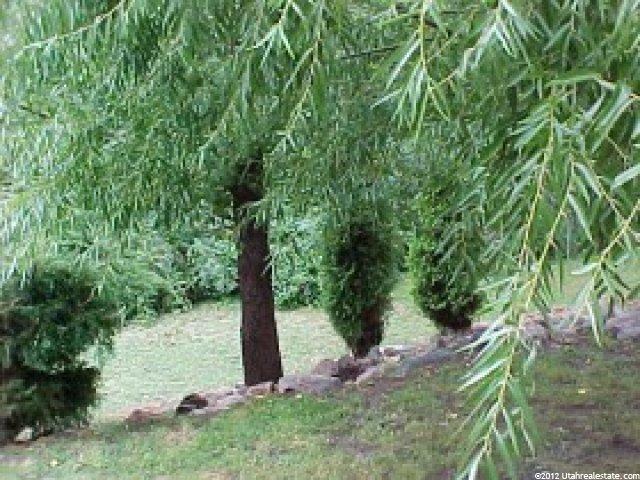 925 Melody Ln, Ogden, UT 84404 — photo 8