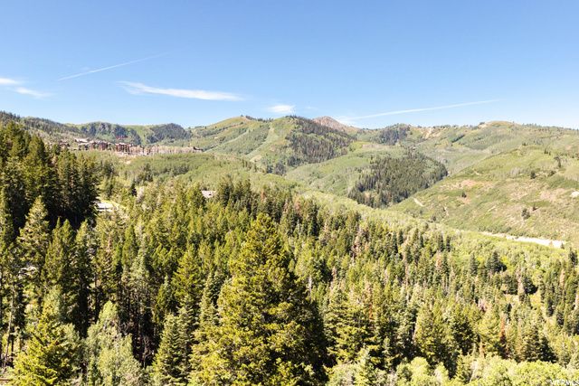 21 Silver Dollar Rd, Park City, UT 84060 — photo 5