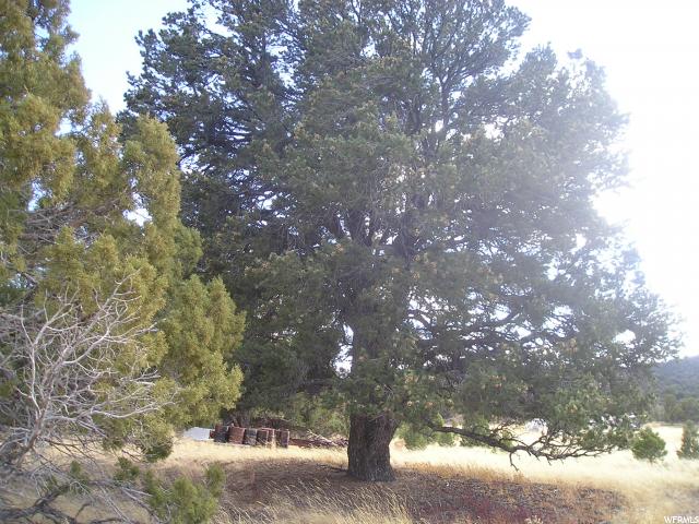 #7, Fruitland, UT 84027 — photo 5
