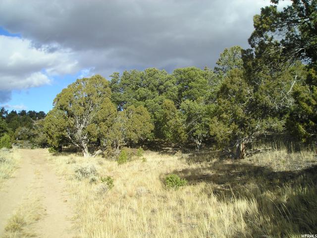 #7, Fruitland, UT 84027 — photo 3