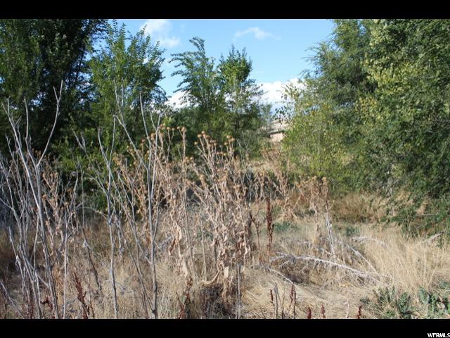 362 E 7th St, Ogden, UT 84404 — photo 8