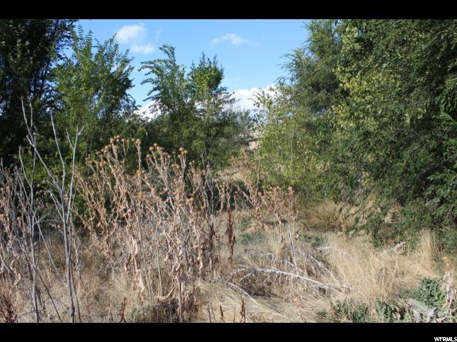 362 E 7th St, Ogden, UT 84404 — photo 10