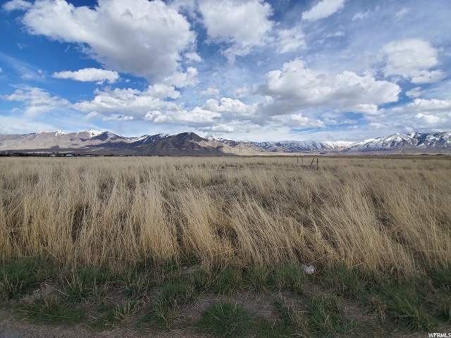 Erda, UT 84074 — photo 6