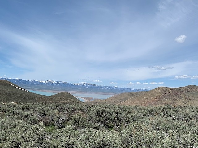 Listing Photo