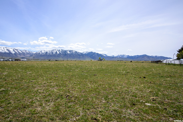 286 E Cimmarron Way, Erda, UT 84074 — photo 4