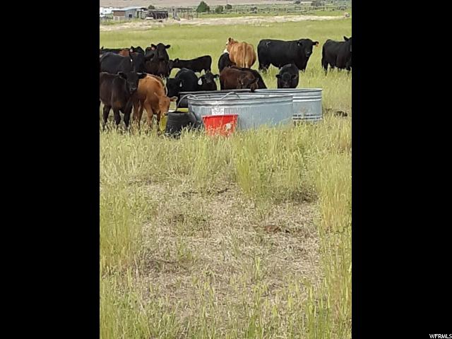 8650 E 14500 N, Spring City, UT 84662 — photo 3