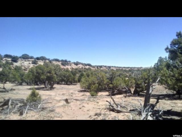 #3342, Duchesne, UT 84021 — photo 7