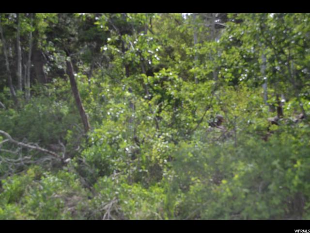 450 Forgotten Ln #40, Wanship, UT 84017 — photo 2