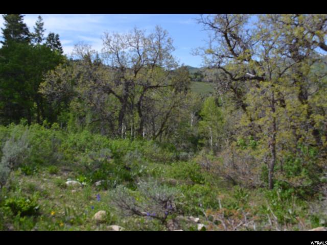 450 Forgotten Ln #40, Wanship, UT 84017 — photo 3