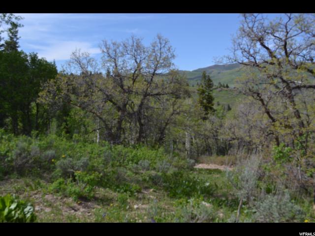 450 Forgotten Ln #40, Wanship, UT 84017 — photo 4