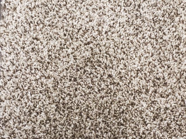 Carpet