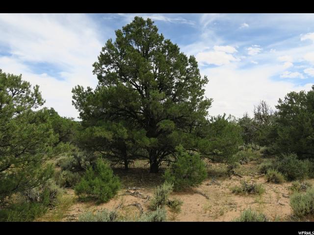 2190 E Long Neck Dr #3, Boulder, UT 84716 — photo 4