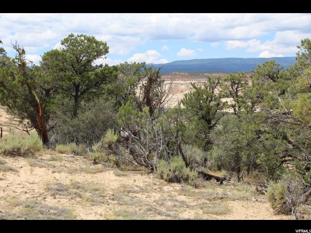 2190 E Long Neck Dr #3, Boulder, UT 84716 — photo 7