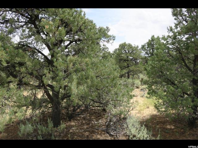 2190 E Long Neck Dr #3, Boulder, UT 84716 — photo 5