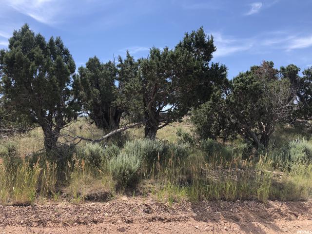 #10A, Fruitland, UT 84027 — photo 2