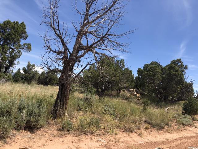 #10B, Fruitland, UT 84027 — photo 4