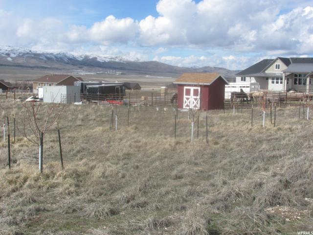 145 E Burraston Rd #3, Mona, UT 84645 — photo 4