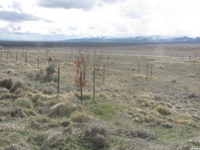 145 E Burraston Rd #3, Mona, UT 84645 — photo 6