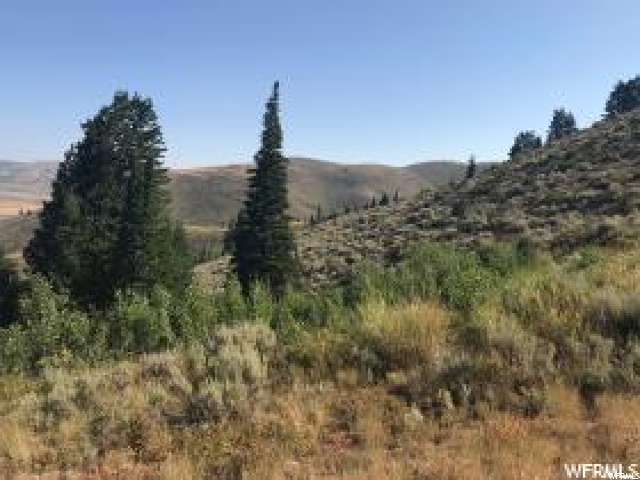 Logan, UT 84321 — photo 3